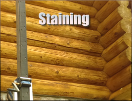  Bland, Virginia Log Home Staining
